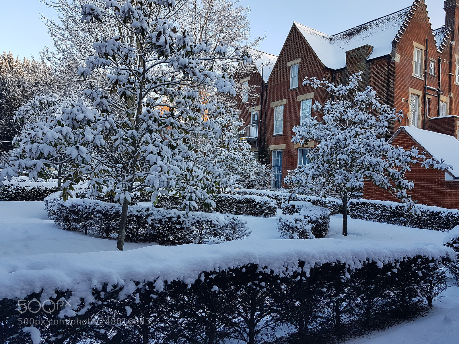 Samsung Galaxy S7 sample photo. Snow day photography