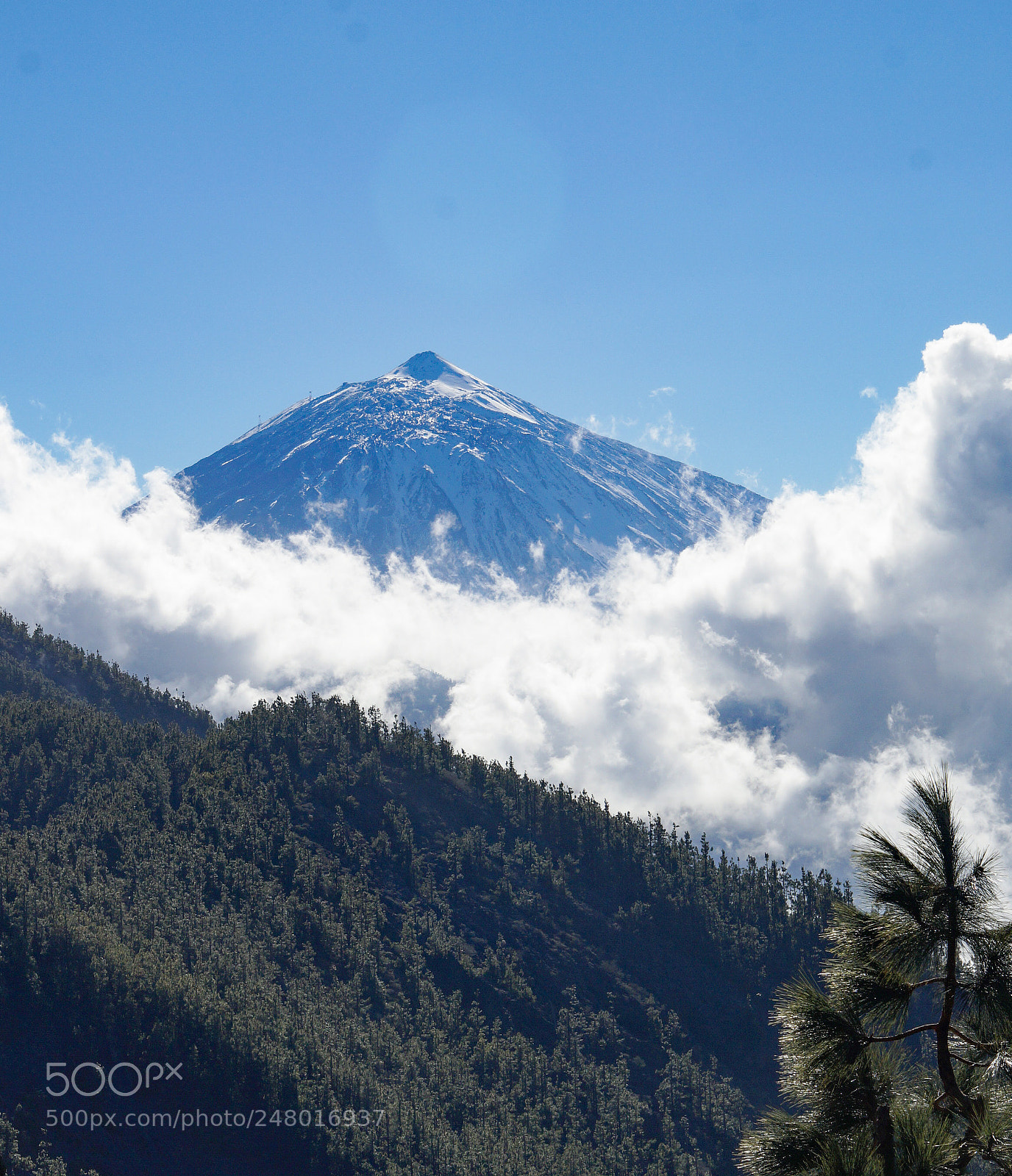 Sony SLT-A58 sample photo. Mount teide, canary islands photography