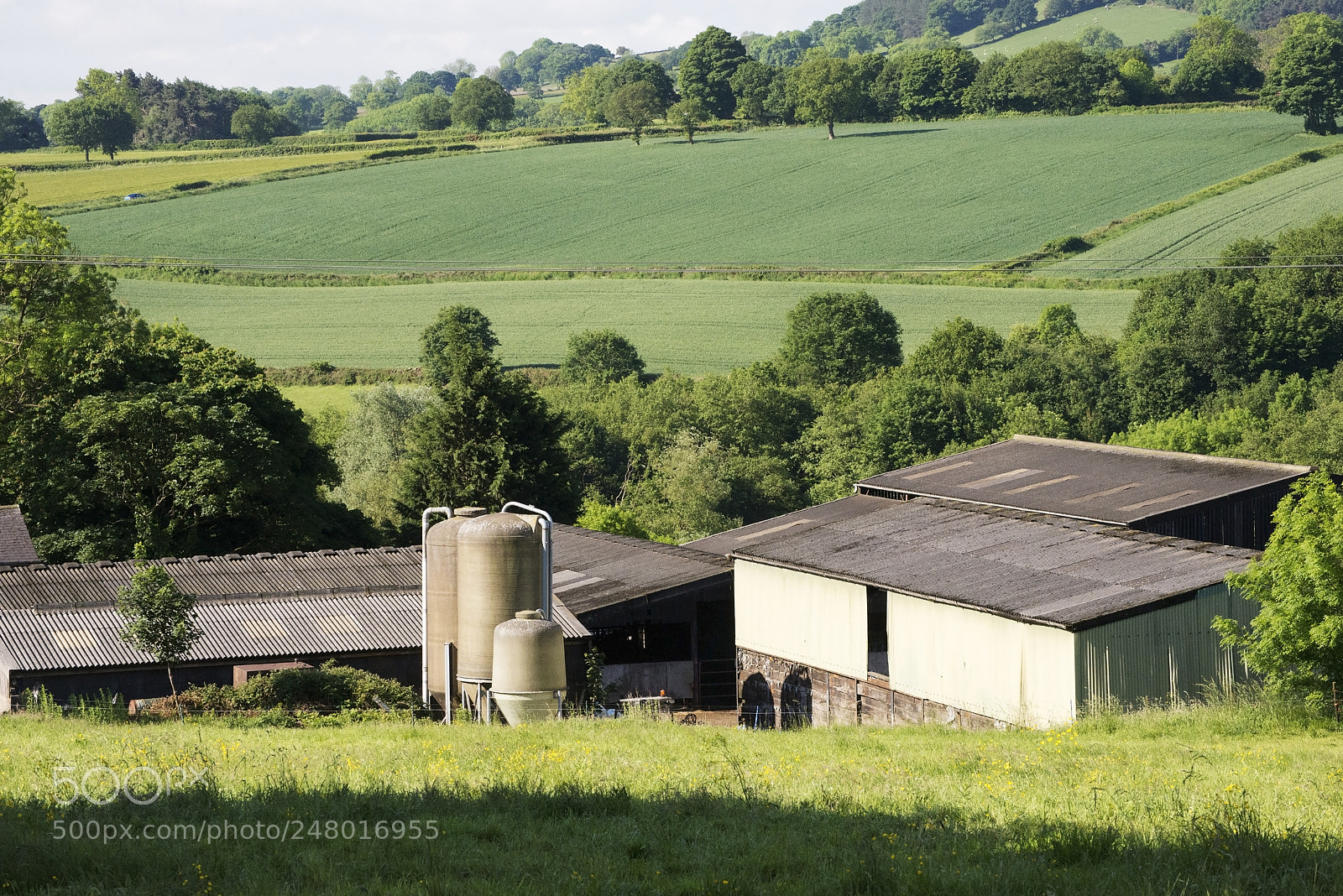 Nikon D600 sample photo. Farm view (1) photography