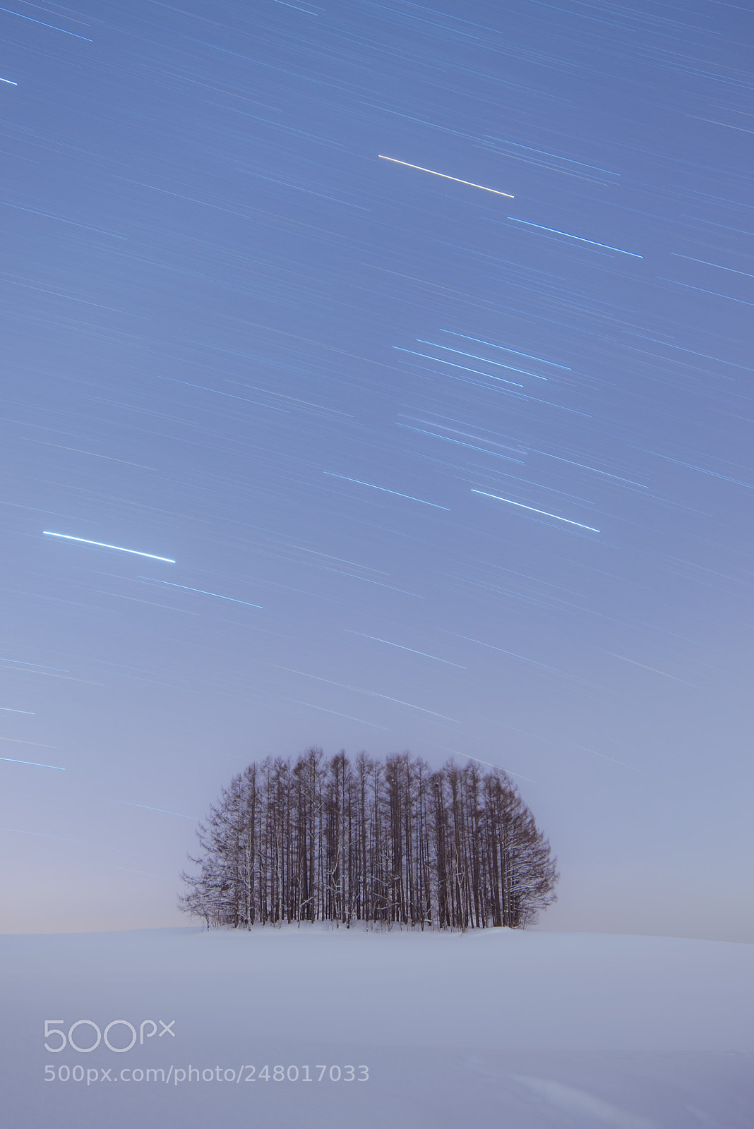 Nikon D750 sample photo. 17-49:snow stars photography