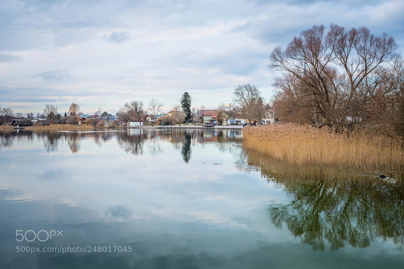Nikon D850 sample photo. Pfäffikersee, switzerland photography