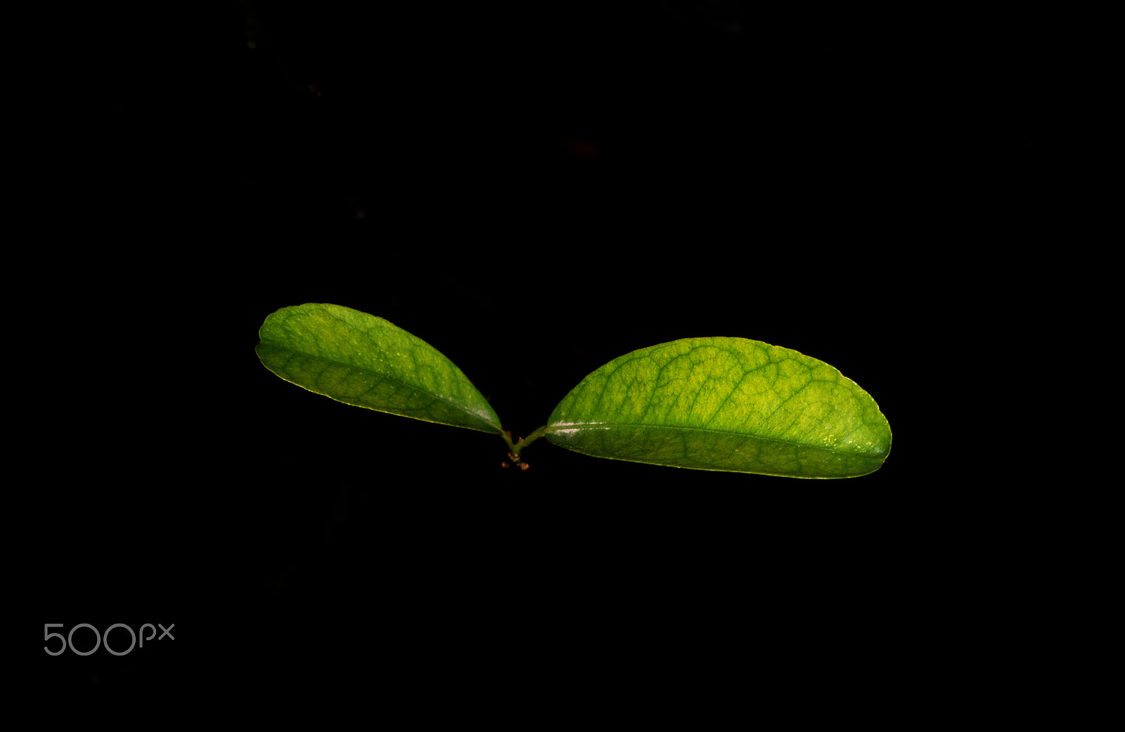 Nokia 808 PureView sample photo. 15356128914.jpg photography
