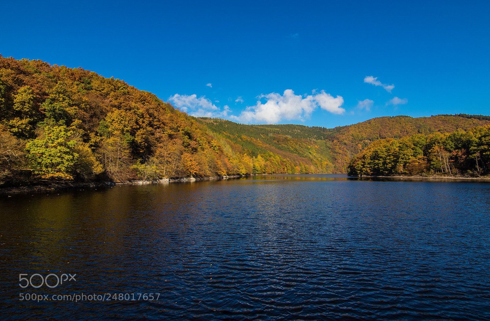 Canon EOS 7D Mark II sample photo. Rursee photography
