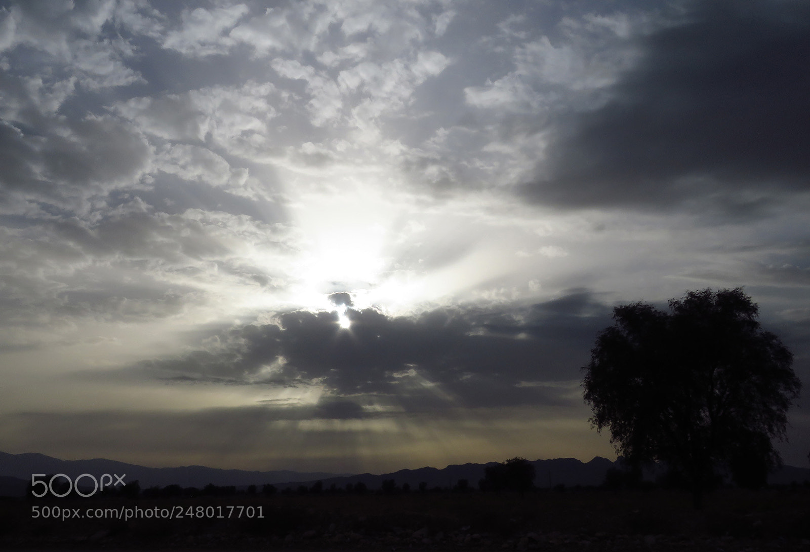 Canon PowerShot SX60 HS sample photo. Sunbeams photography