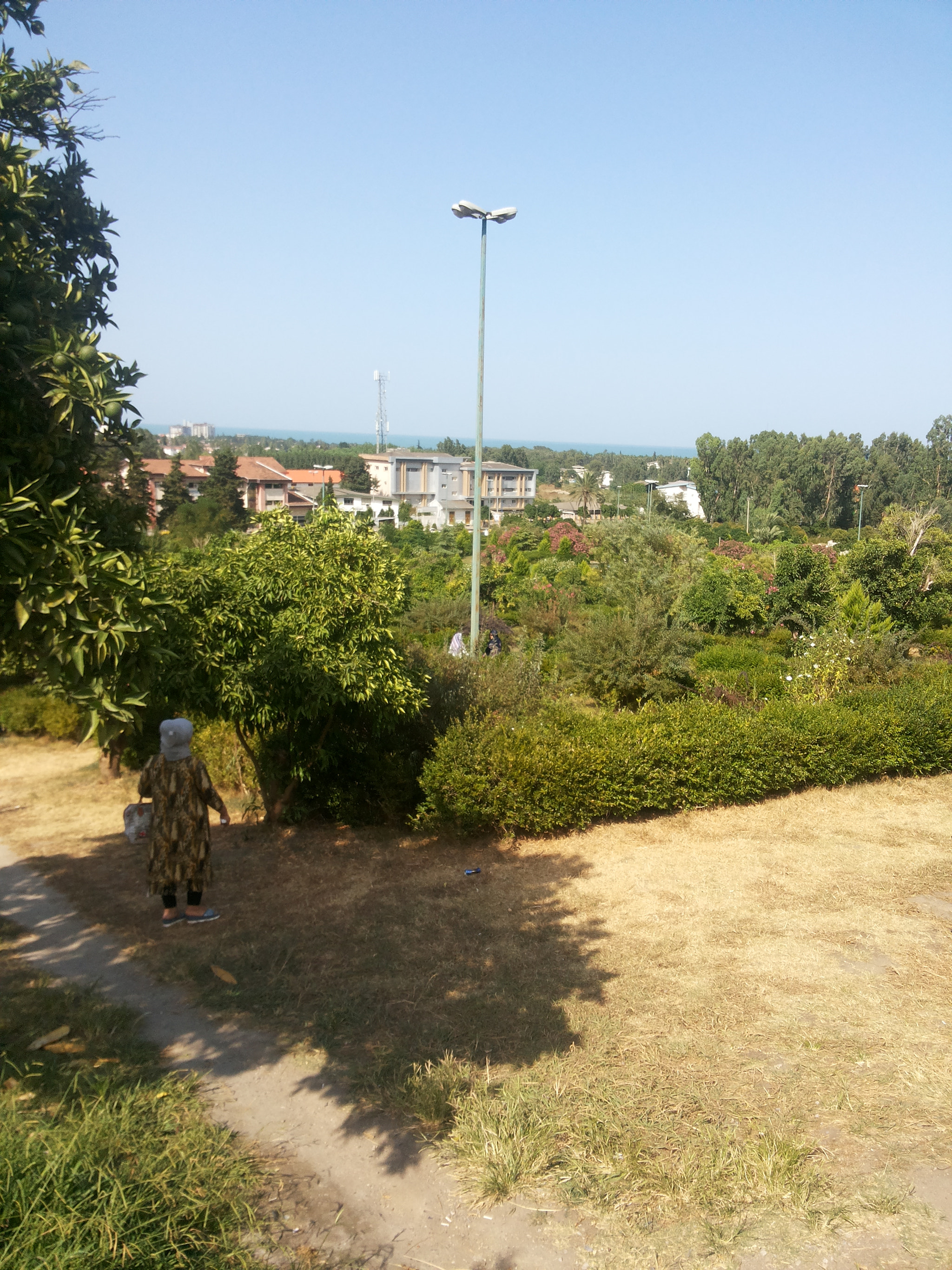 Samsung Galaxy Grand Duos sample photo. Park 3 photography