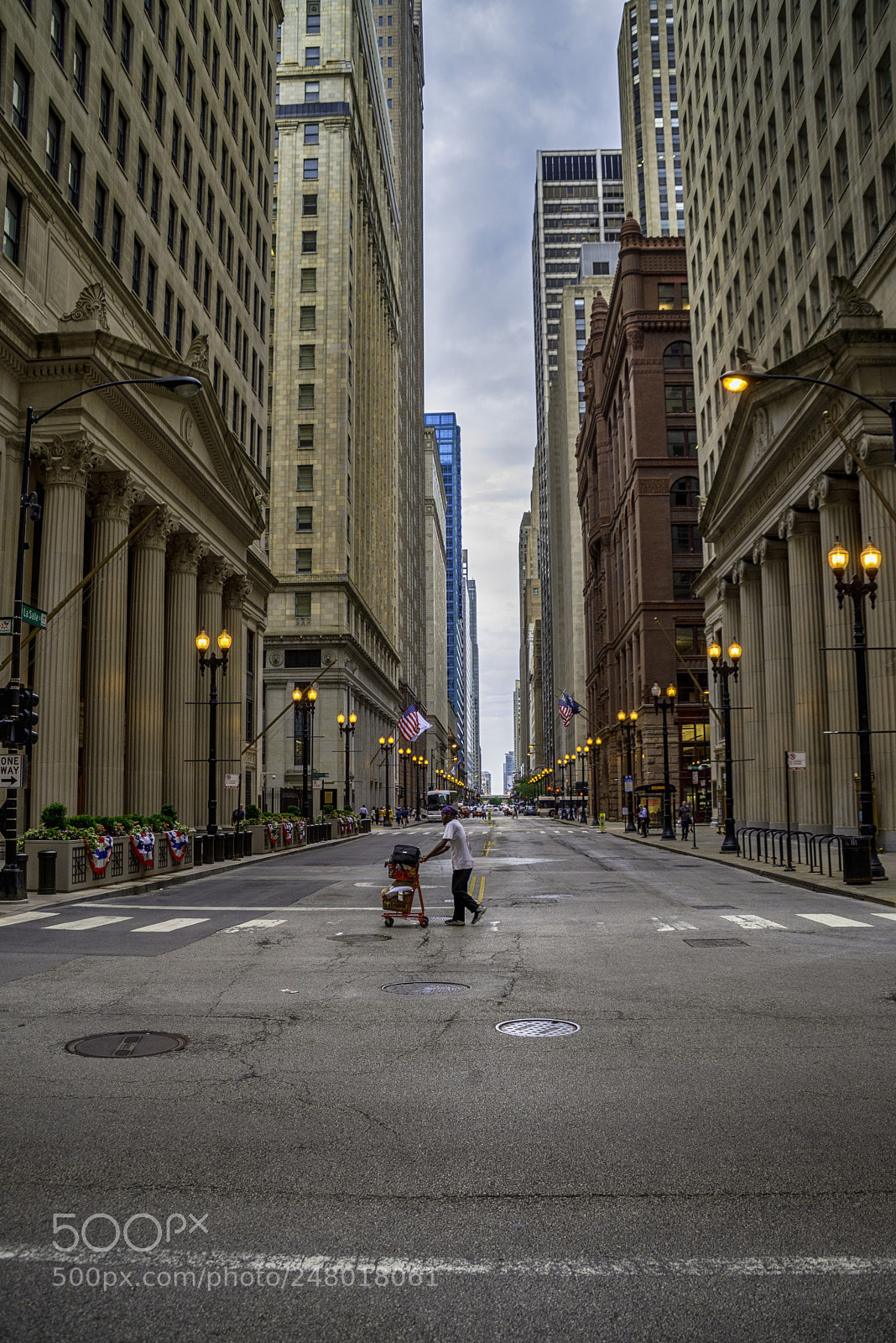 Nikon D610 sample photo. Chicago photography
