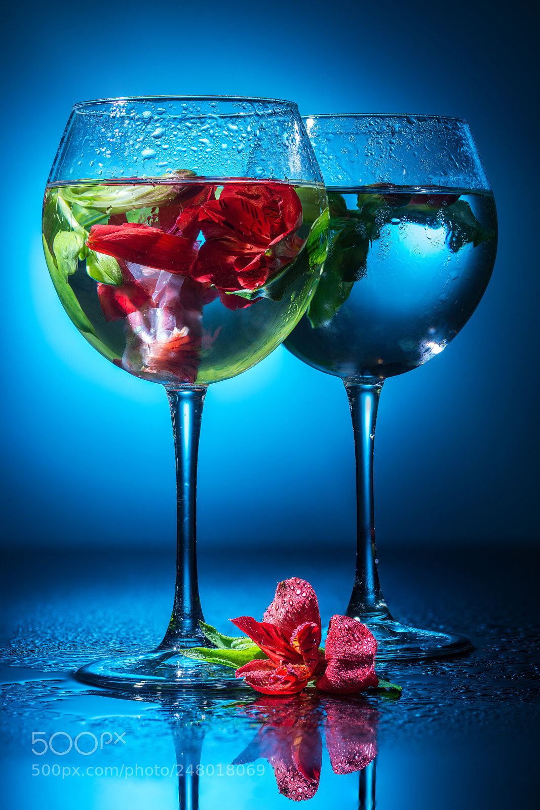 Nikon D800 sample photo. Wineglasses with water and photography