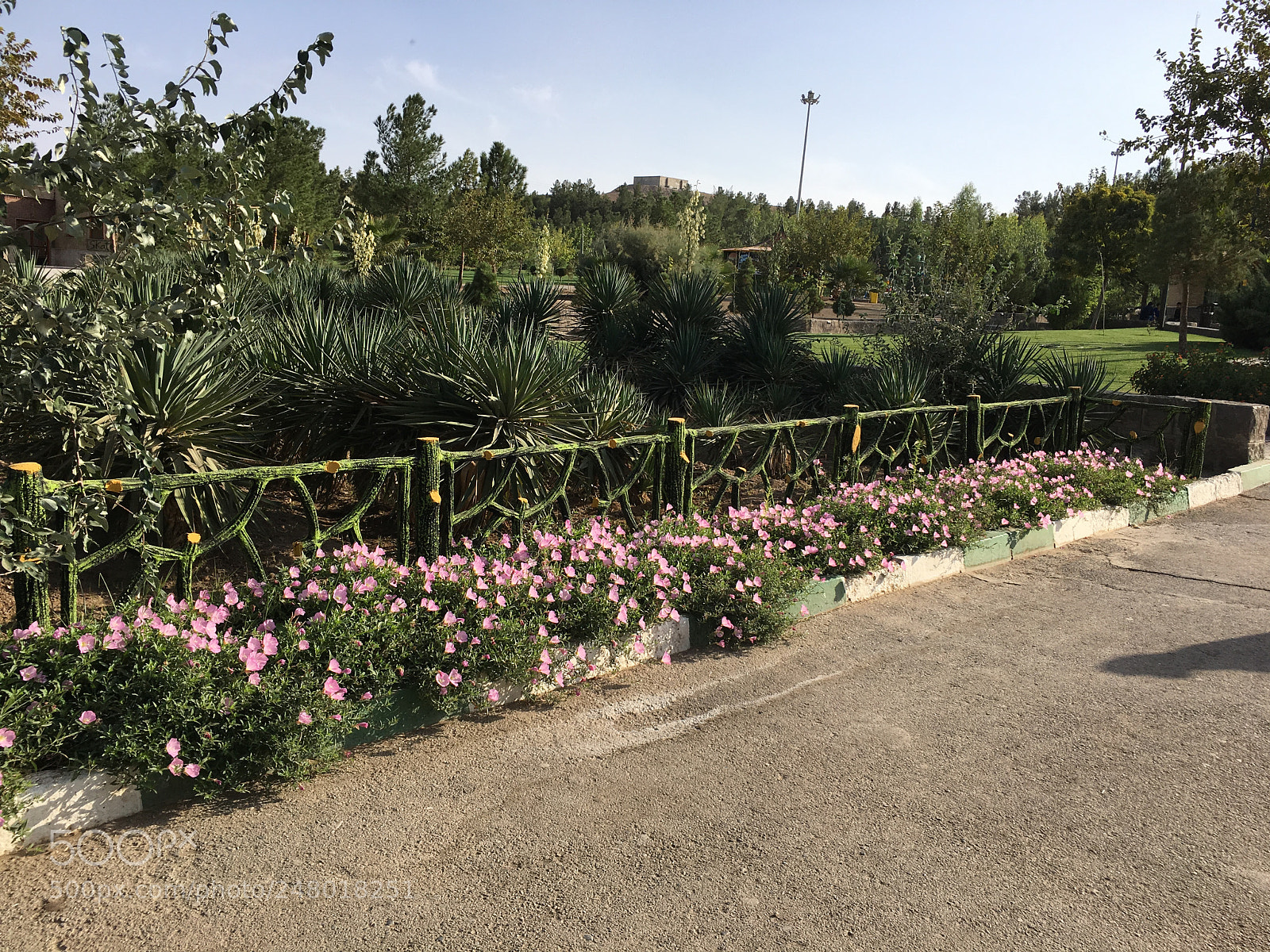 Apple iPhone 6s Plus sample photo. Untitled photography