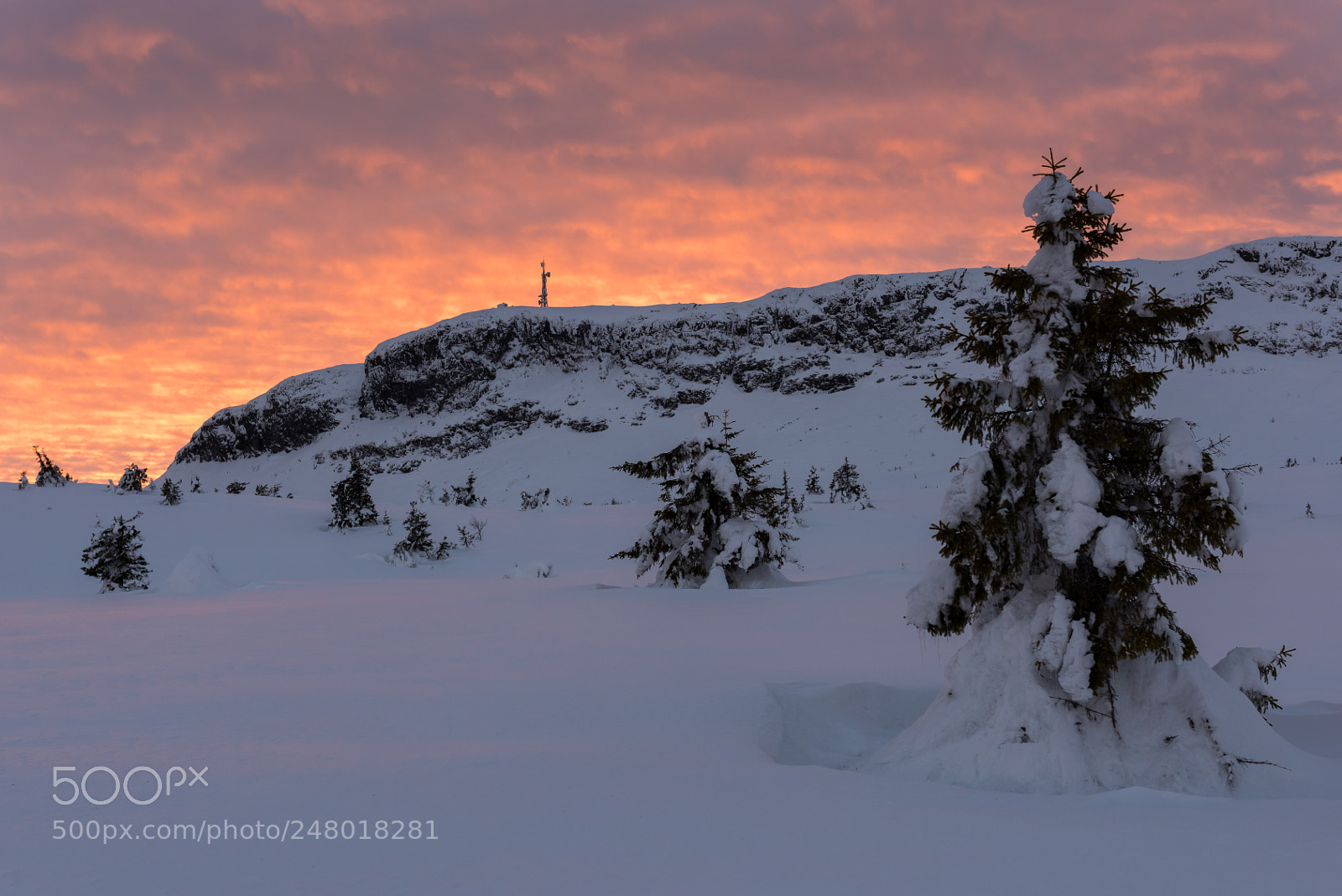 Nikon D810 sample photo. Burning sky photography