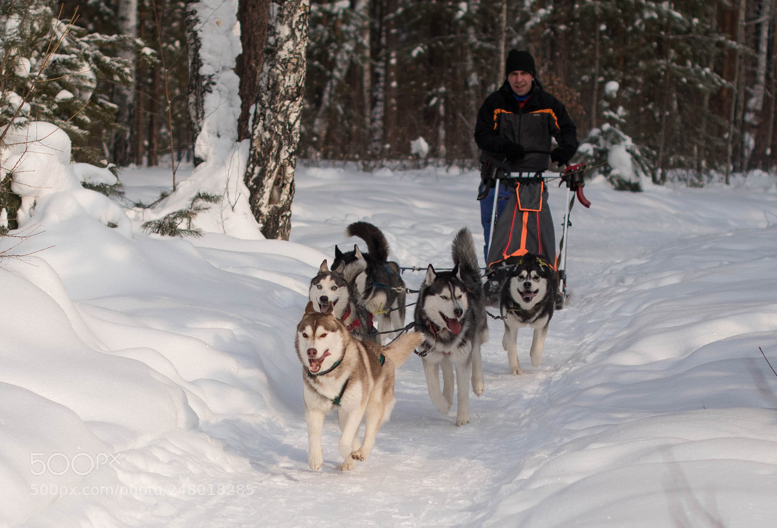 Nikon D810 sample photo. P**** photography