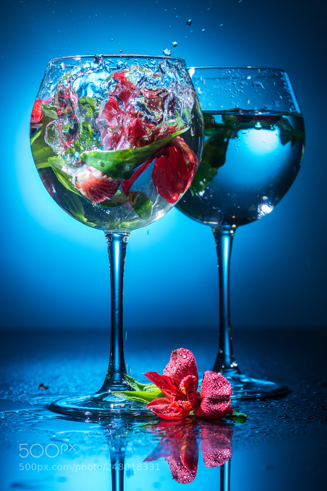 Nikon D800 sample photo. Wineglasses with water and photography