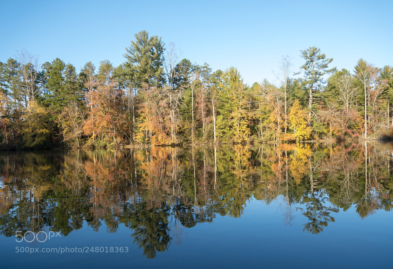 Panasonic Lumix DMC-G85 (Lumix DMC-G80) sample photo. Fall mirror photography