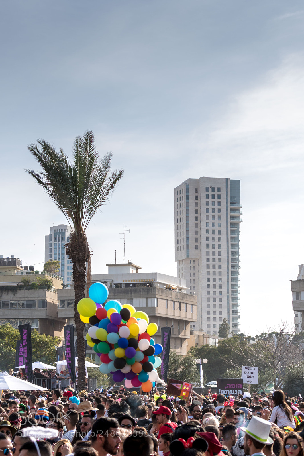Nikon D5600 sample photo. Purim party medina square photography