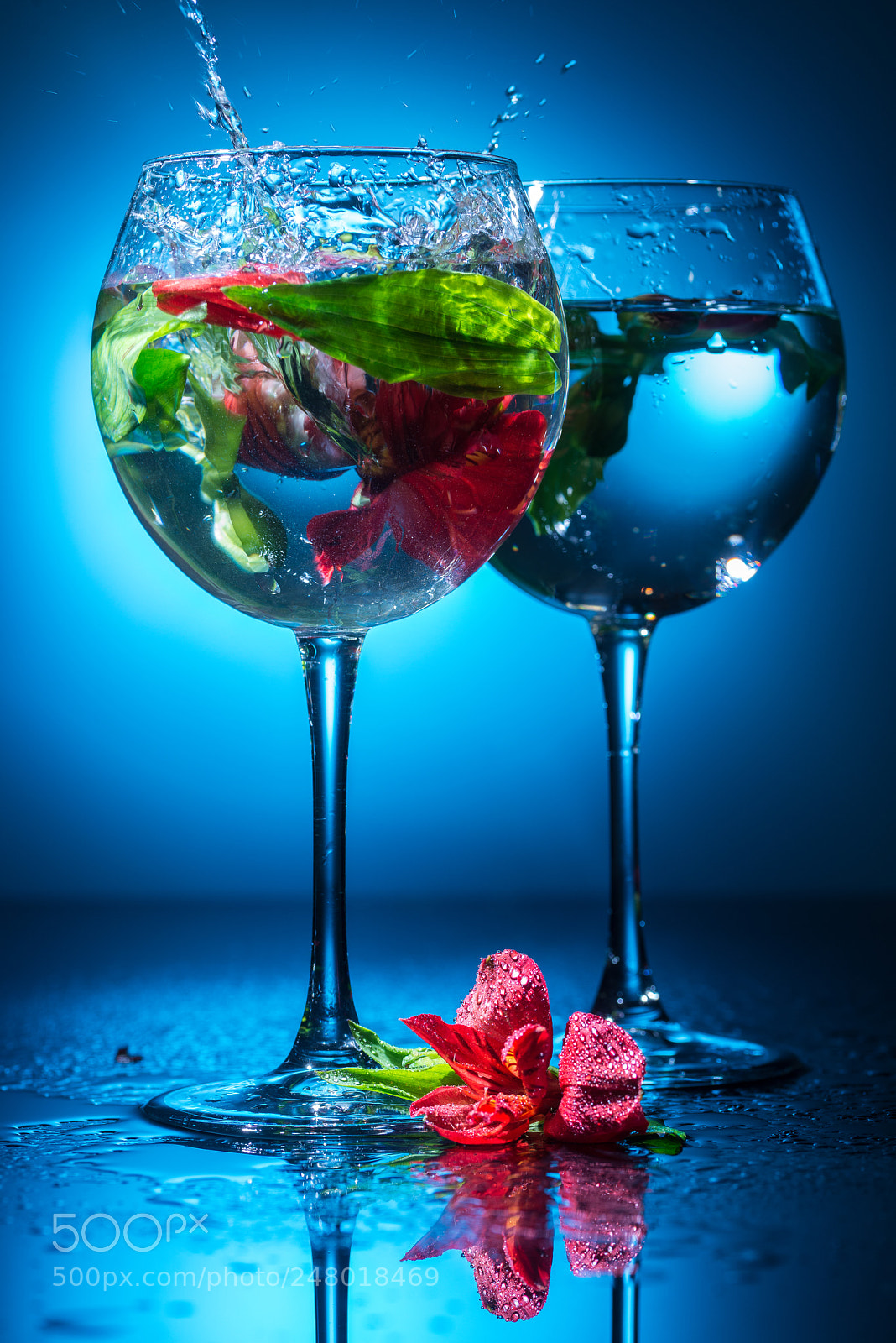 Nikon D800 sample photo. Wineglasses with water and photography