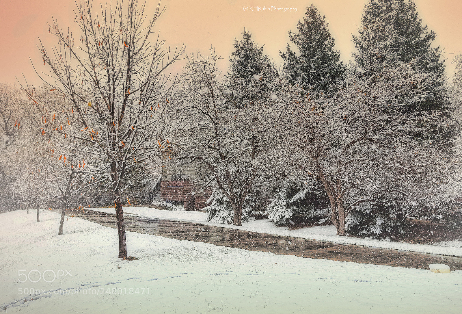 Samsung Galaxy S6 sample photo. Snowy afternoon photography