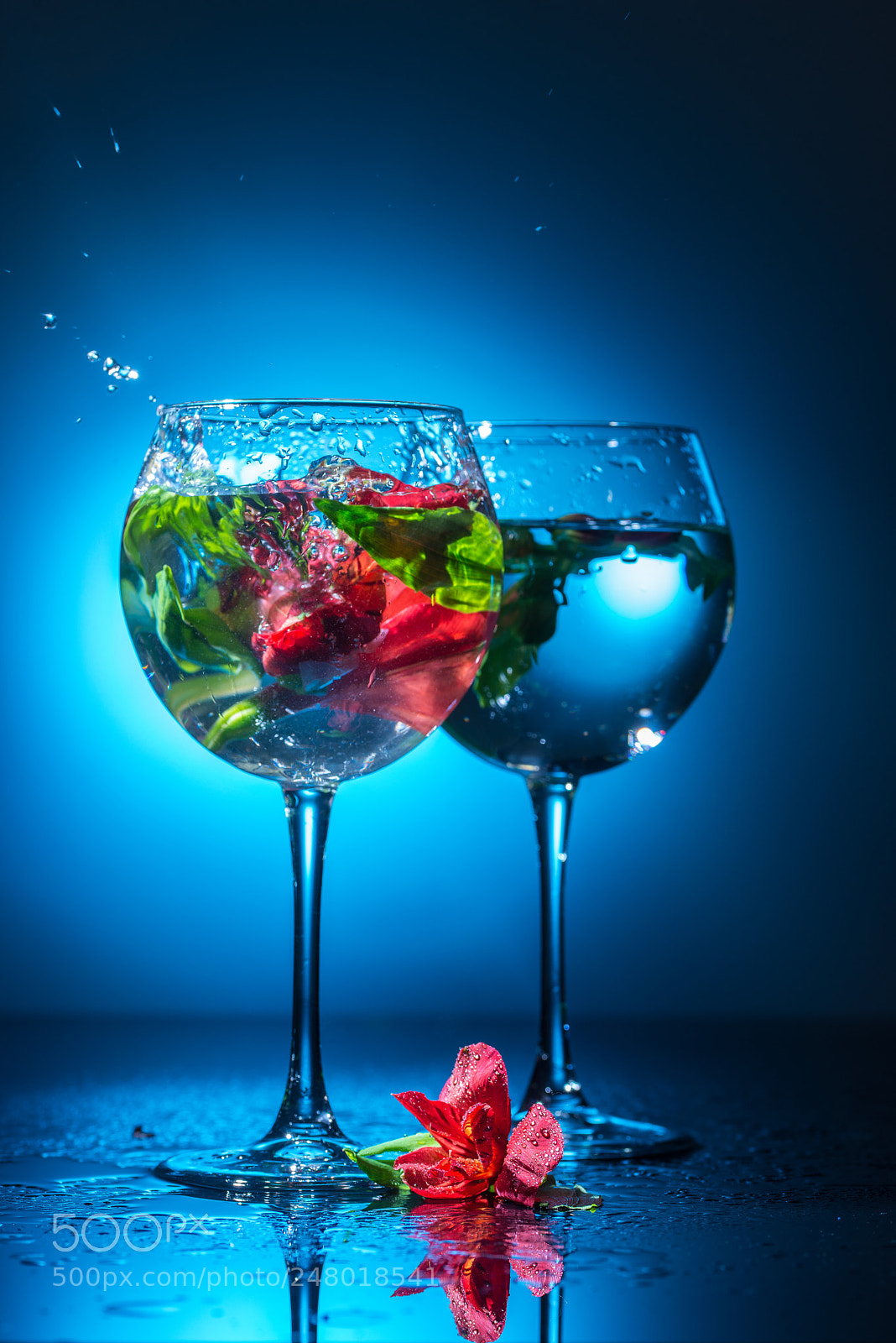 Nikon D800 sample photo. Wineglasses with water and photography