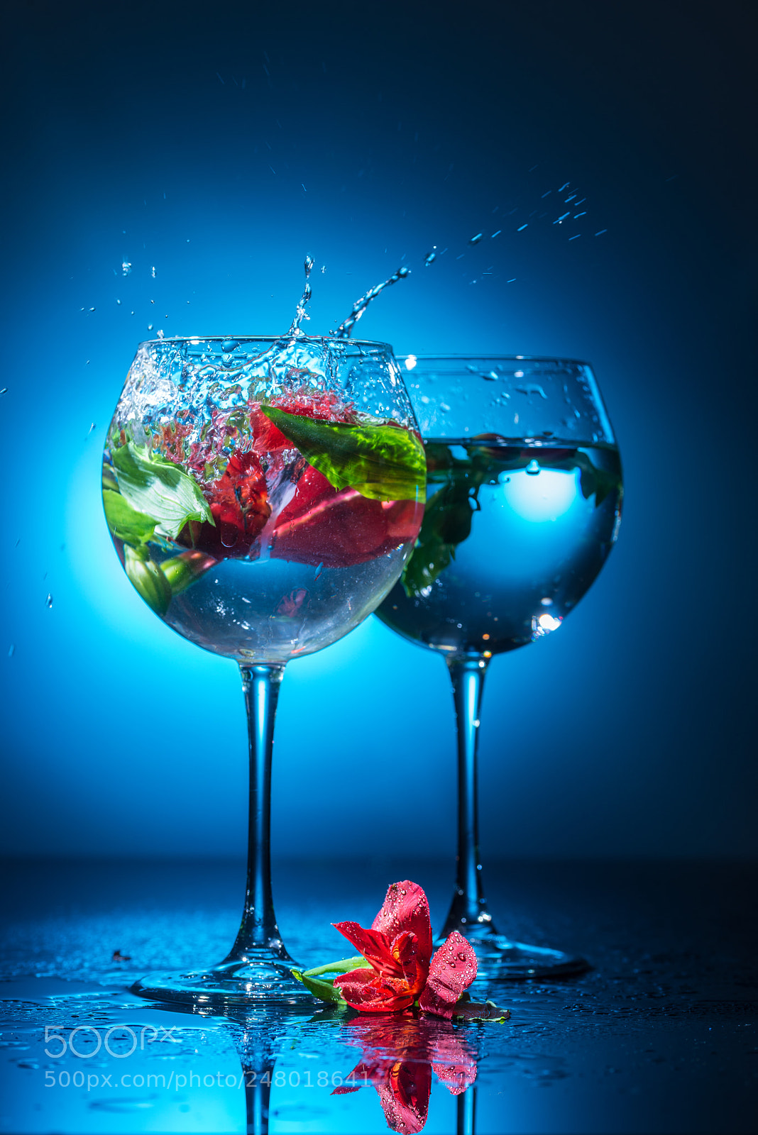 Nikon D800 sample photo. Wineglasses with water and photography