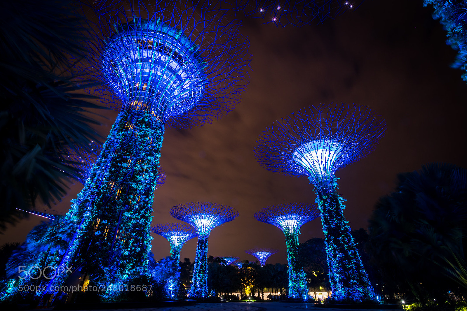 Nikon D500 sample photo. Gardens by the bay photography