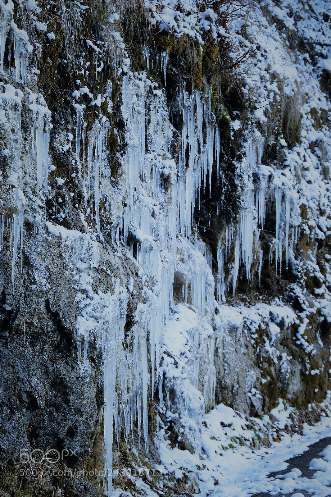 Canon EOS 7D Mark II sample photo. Frozen 2 photography