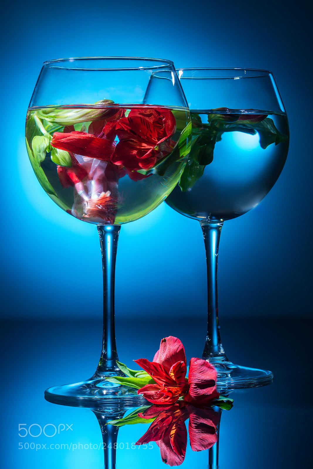 Nikon D800 sample photo. Wineglasses with water and photography