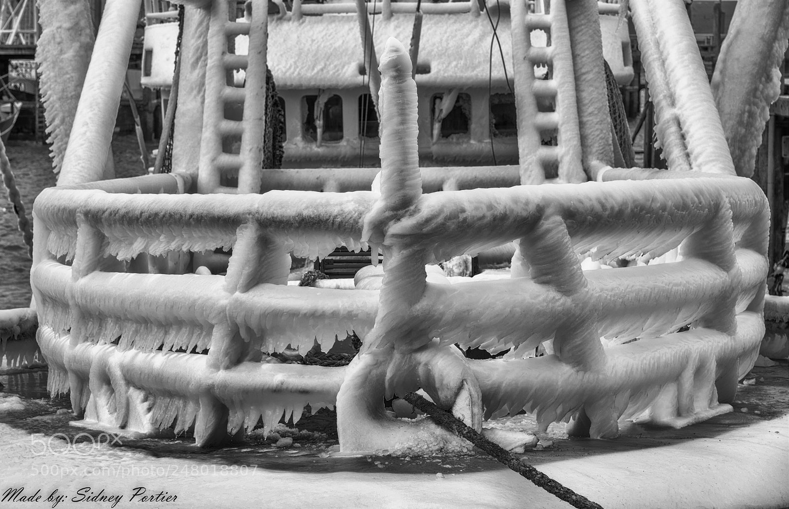 Nikon D600 sample photo. Untitled photography