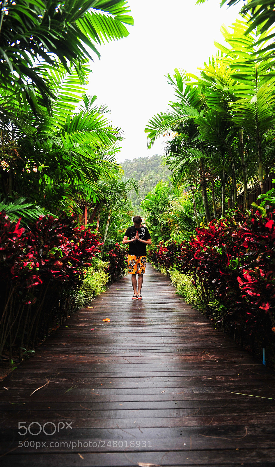 Nikon D700 sample photo. Thailand, ko-chang. photography