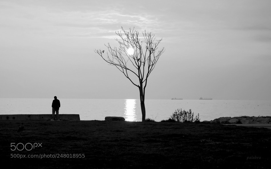 Samsung NX300 sample photo. ... photography