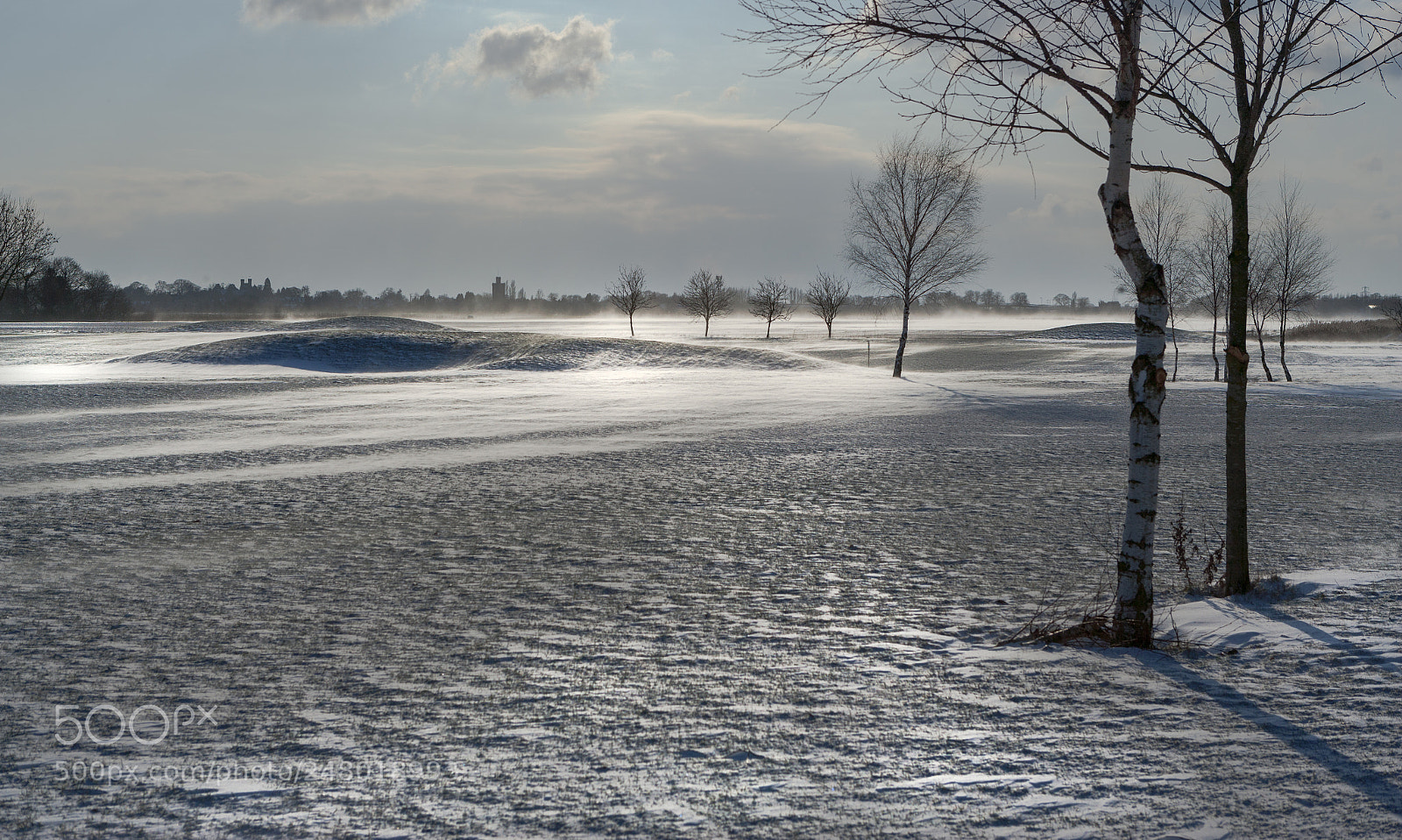 Canon EOS-1Ds Mark II sample photo. Golfcourse,thorney photography
