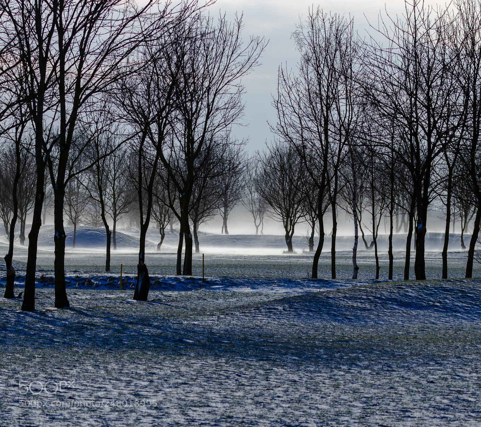 Canon EOS 7D sample photo. Thorney, cambridgeshirre photography