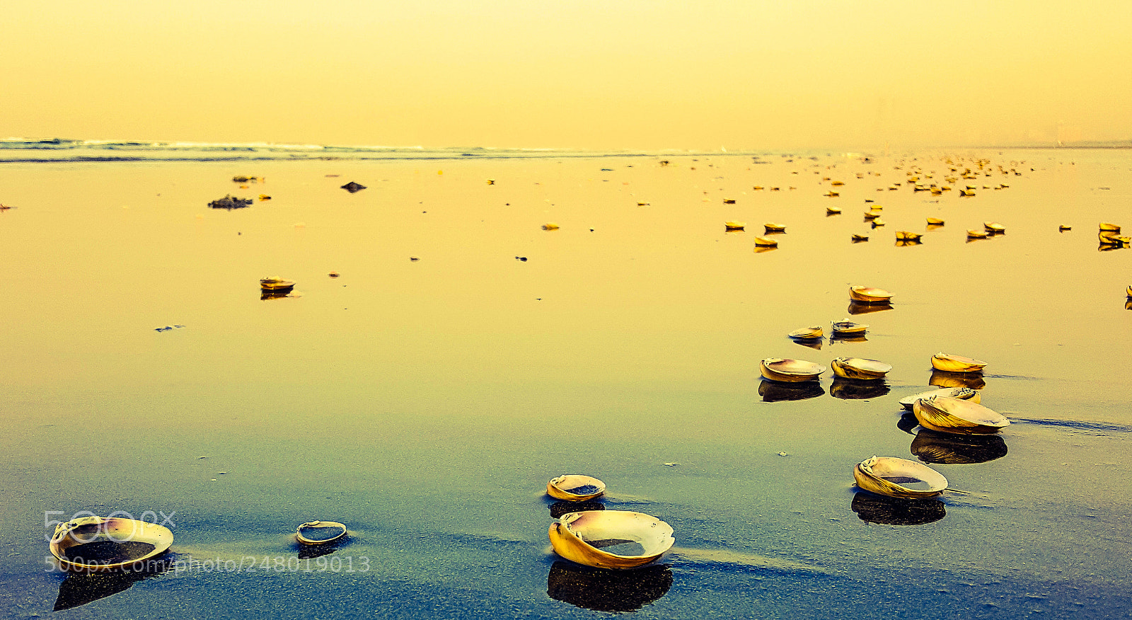 Samsung Galaxy Note5 sample photo. Shells and the beach photography