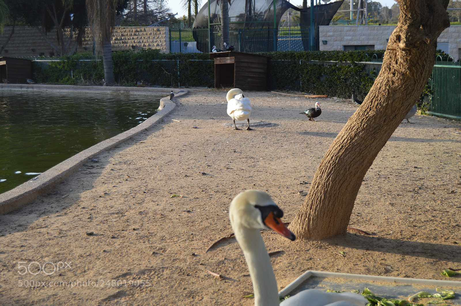 Nikon D3200 sample photo. Dsc photography