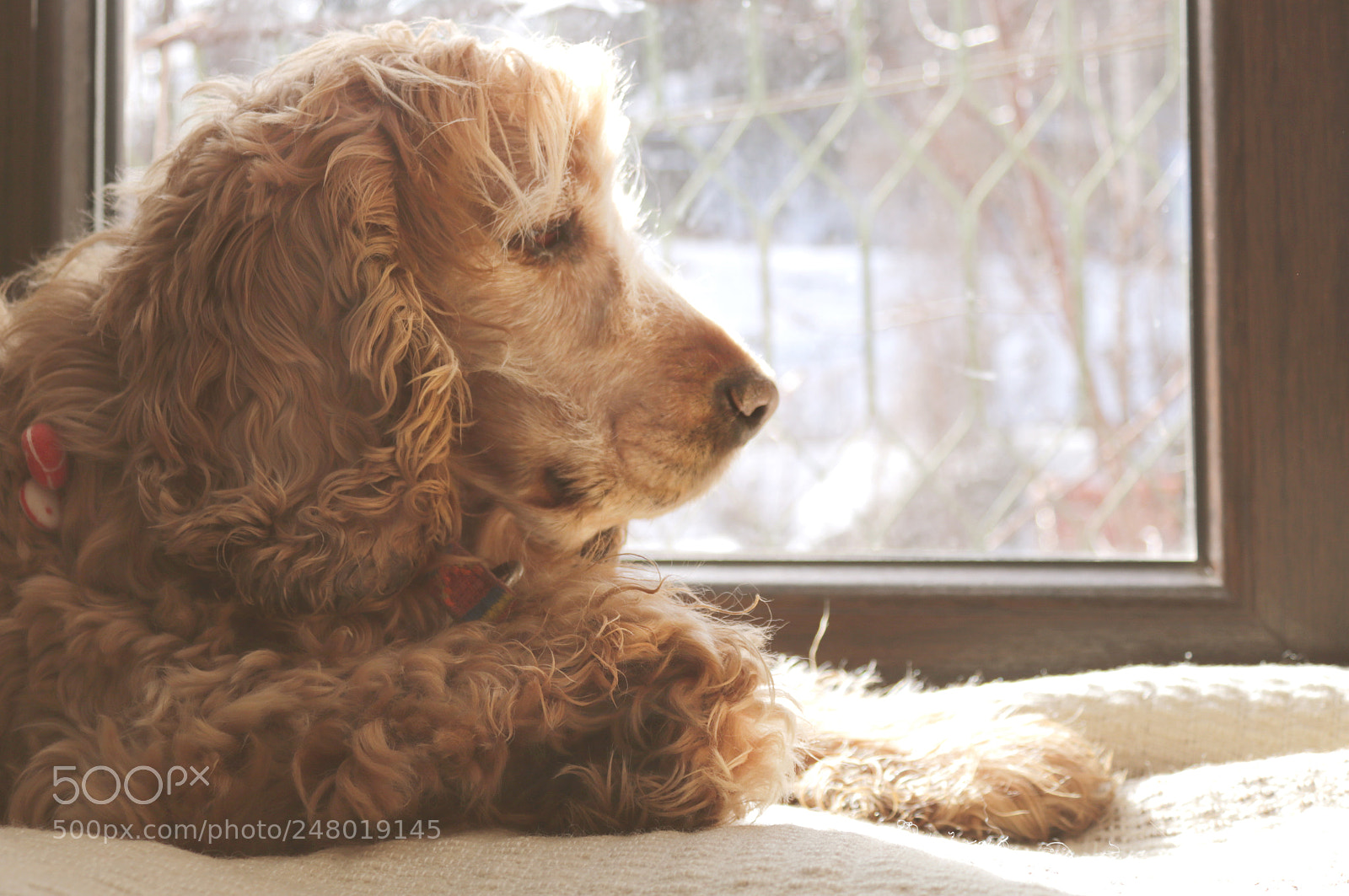 Canon EOS 750D (EOS Rebel T6i / EOS Kiss X8i) sample photo. A day off photography