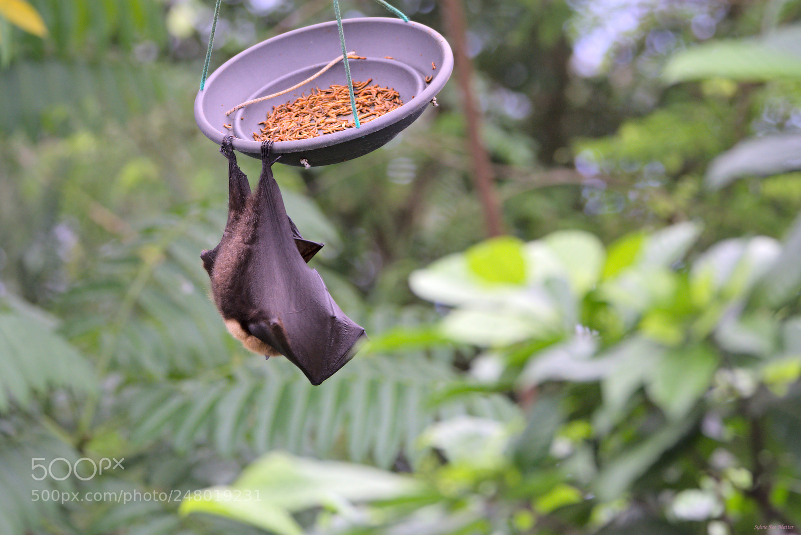 Nikon D7200 sample photo. Unfold photography