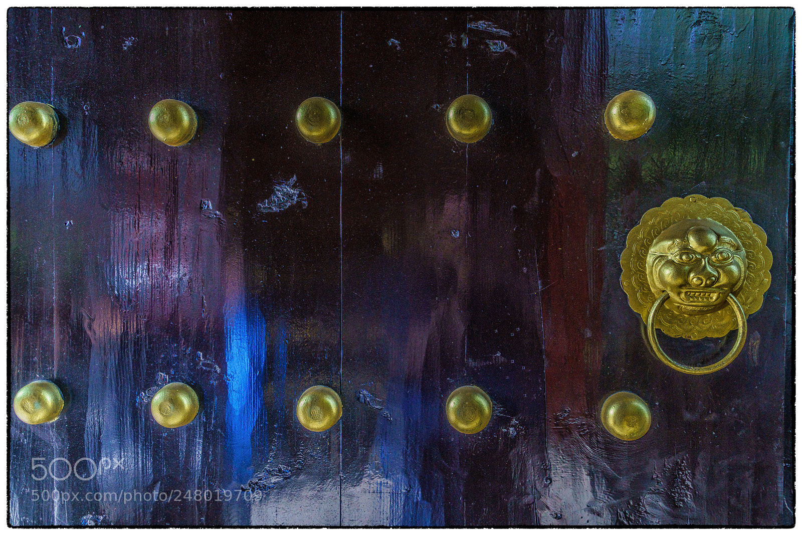 Sony a7R II sample photo. 1 lion / 10 circles photography