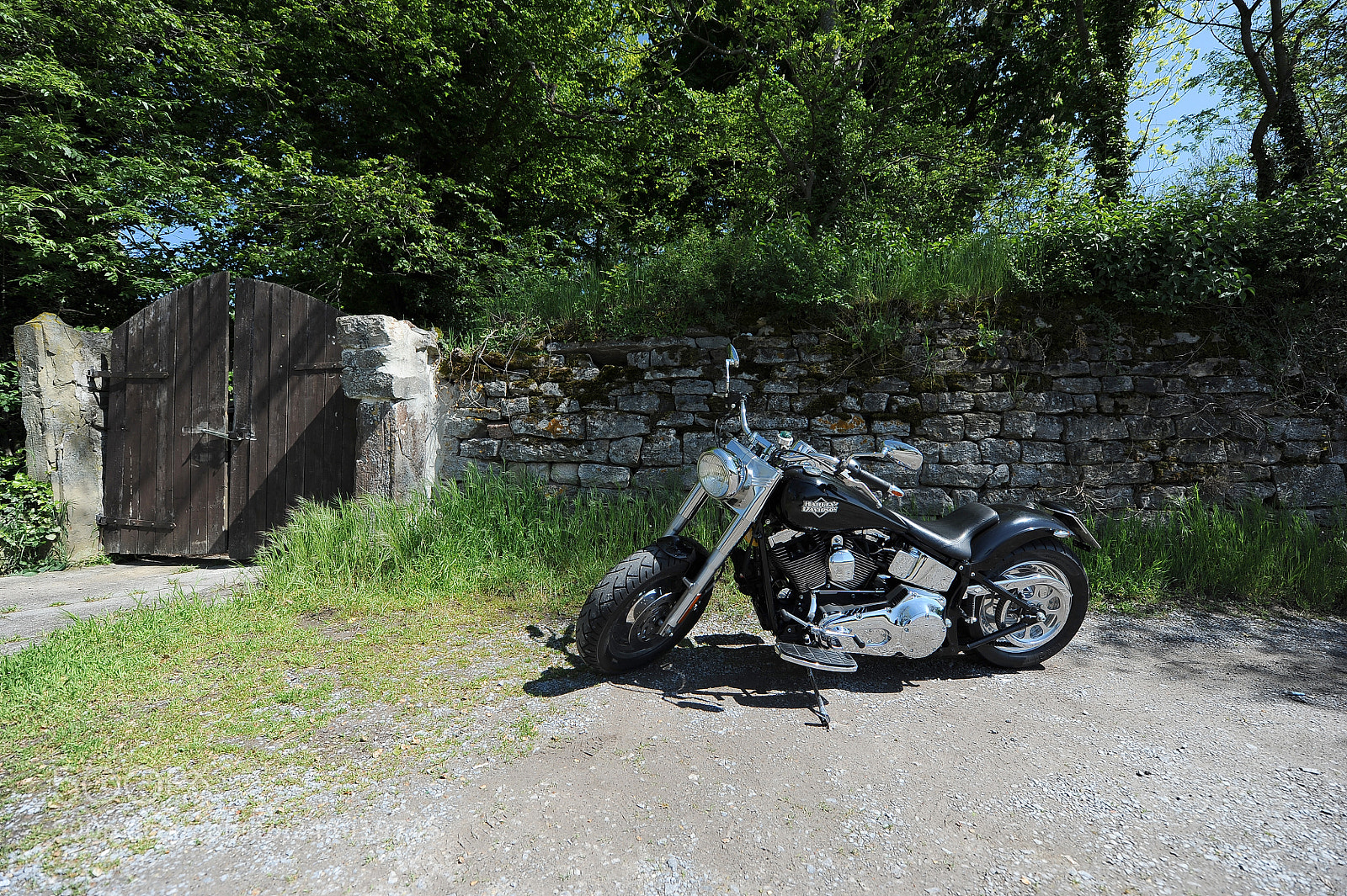Nikon D700 sample photo. "mopped parking" photography
