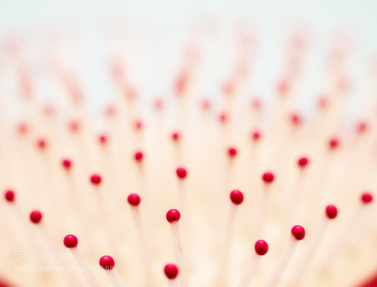 Nikon D610 sample photo. Everyday symmetry photography