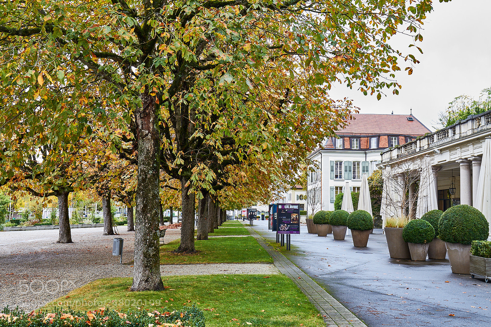 Canon EOS 7D sample photo. Lead to autumn photography