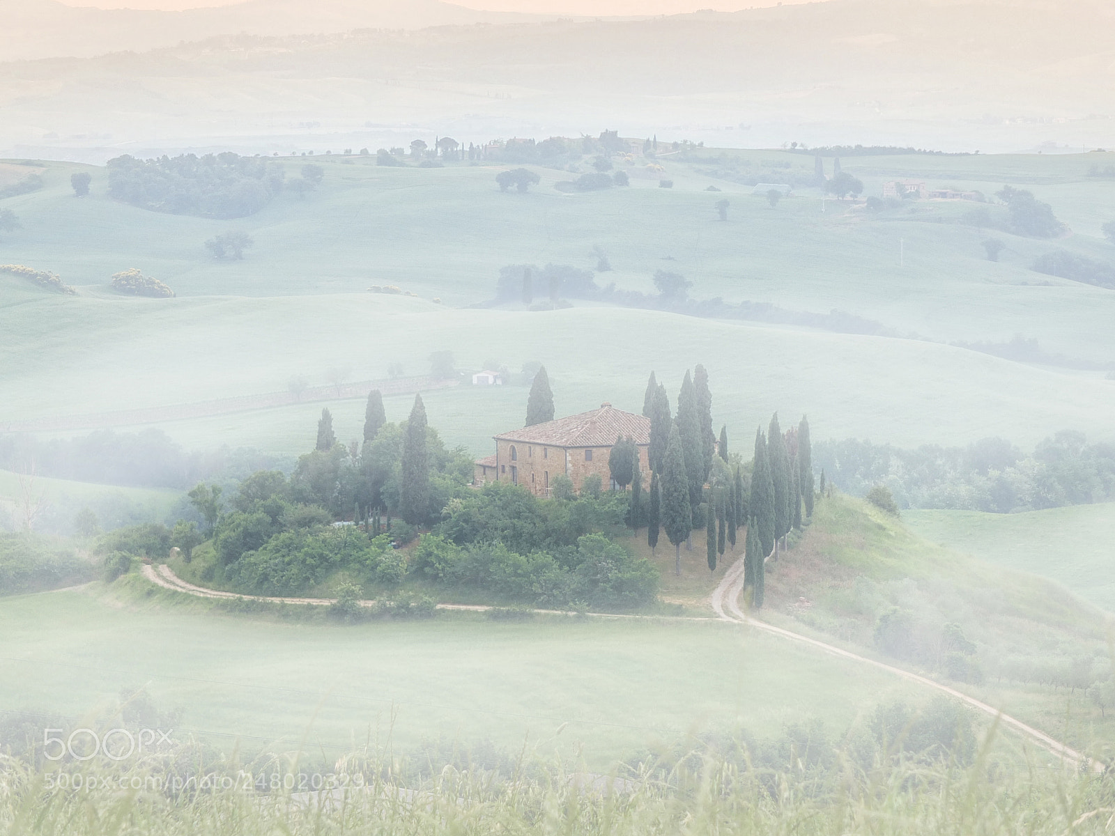 Fujifilm X-S1 sample photo. Toscana im nebel photography