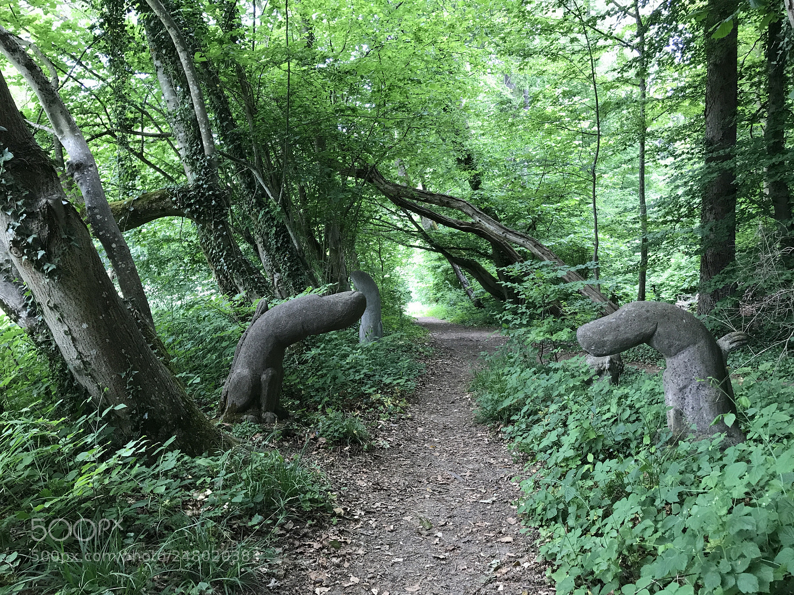 Apple iPhone 7 sample photo. Fingers in the forest photography