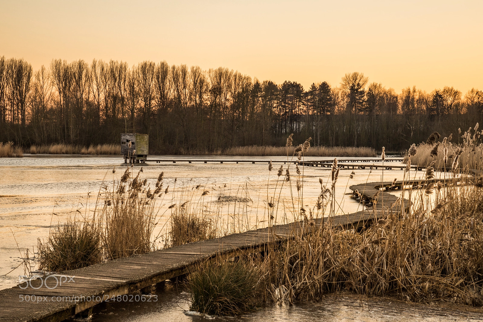 Canon EOS 6D Mark II sample photo. Golden hour at the photography