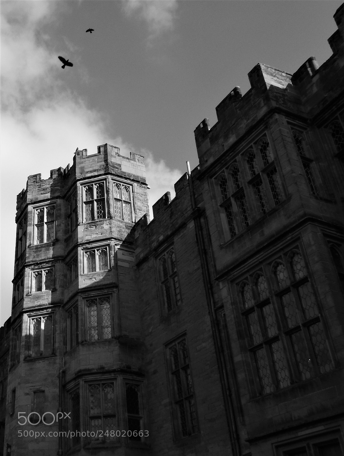 Nikon Coolpix P900 sample photo. Castle photography