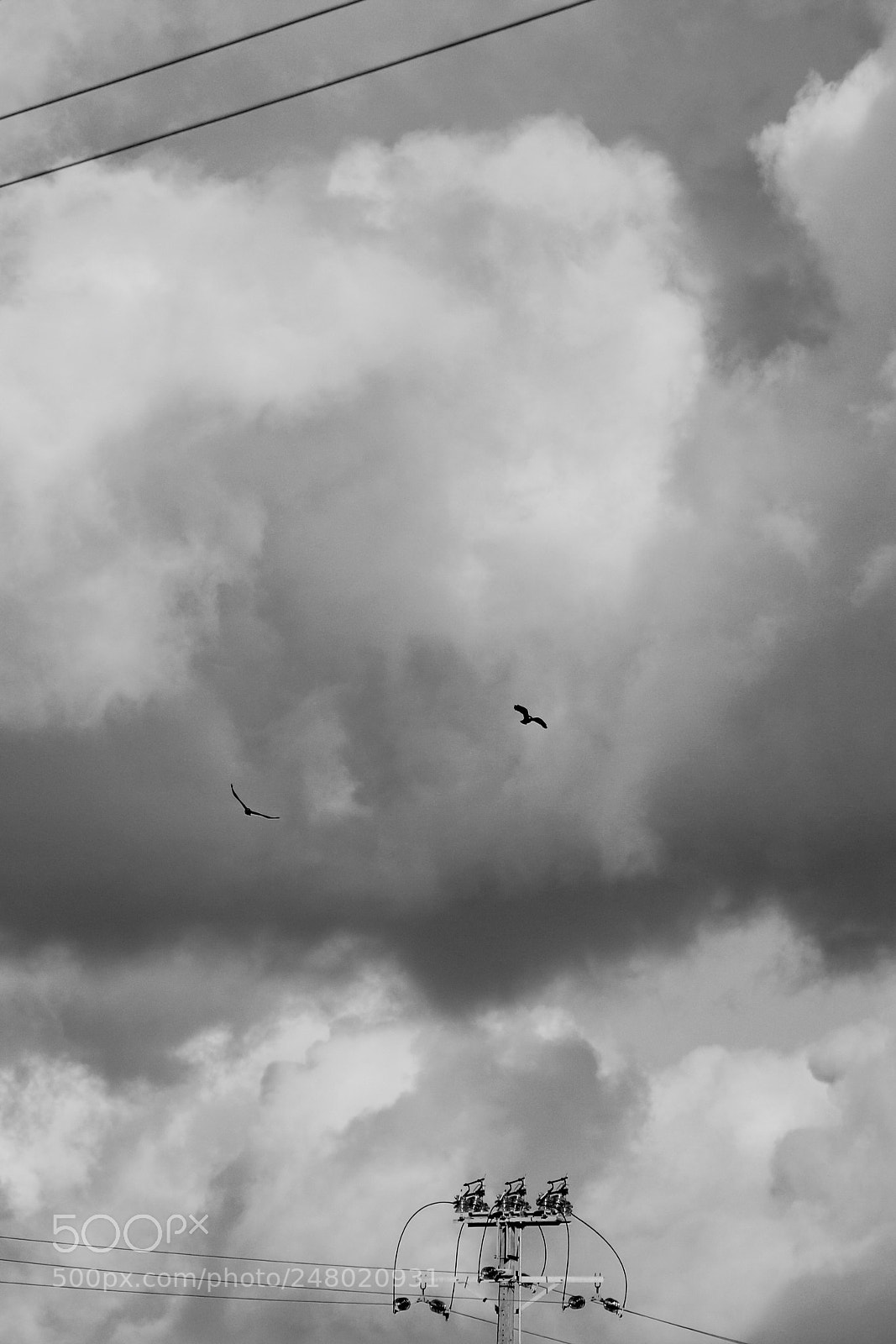 Canon EOS 750D (EOS Rebel T6i / EOS Kiss X8i) sample photo. Dissay-sous-courcillon, 12 février 2018 photography
