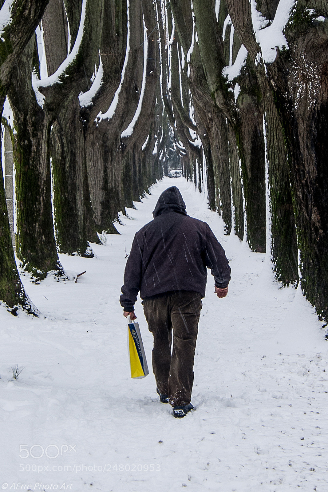 Nikon D7100 sample photo. In trhe snow photography