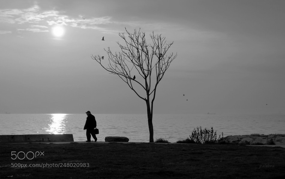 Samsung NX300 sample photo. ... photography