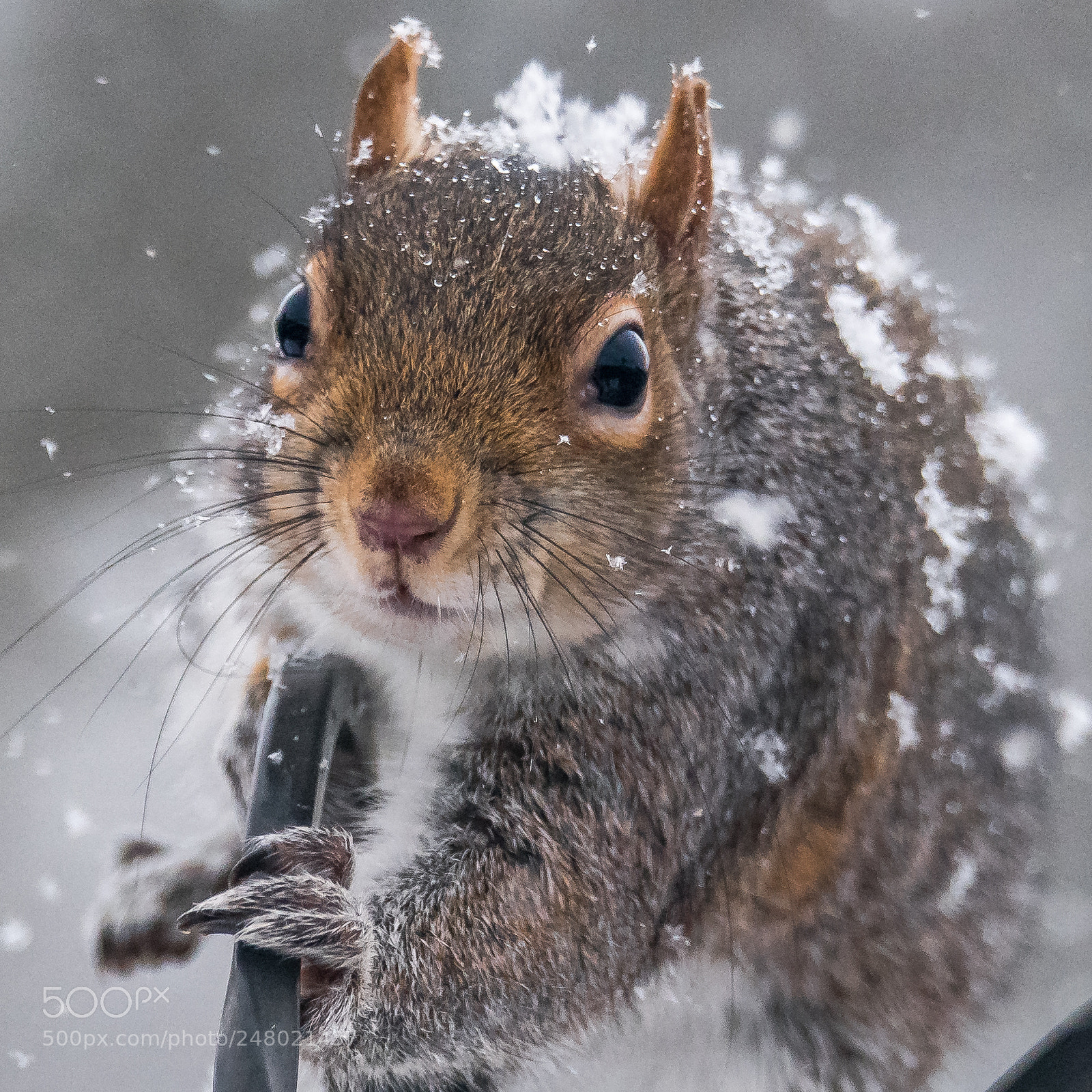 Nikon D850 sample photo. Don't laugh..... photography