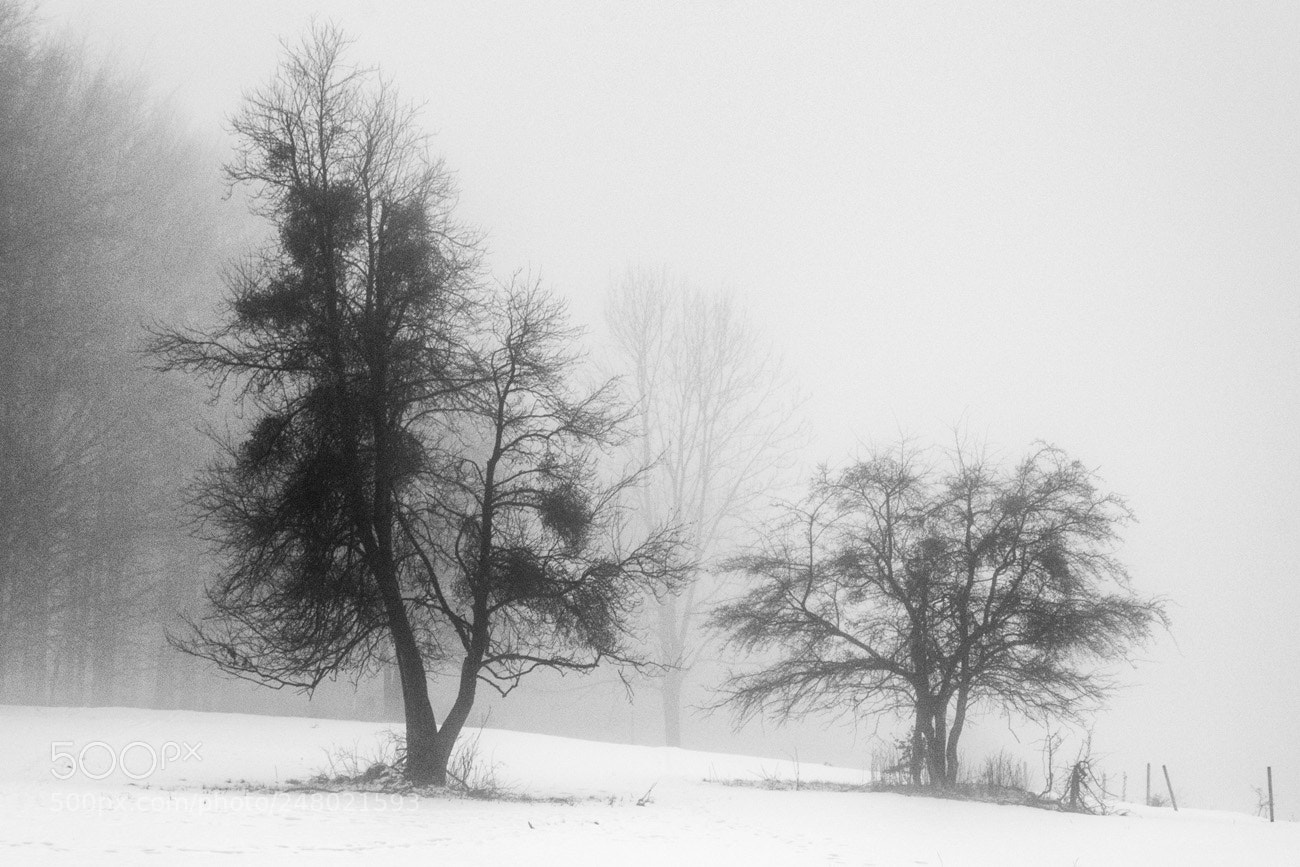 Pentax K-S2 sample photo. Winter mood photography