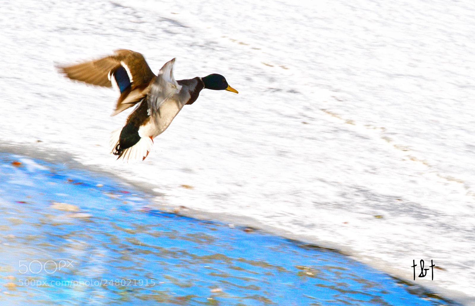 Canon EOS 7D sample photo. Untitled photography