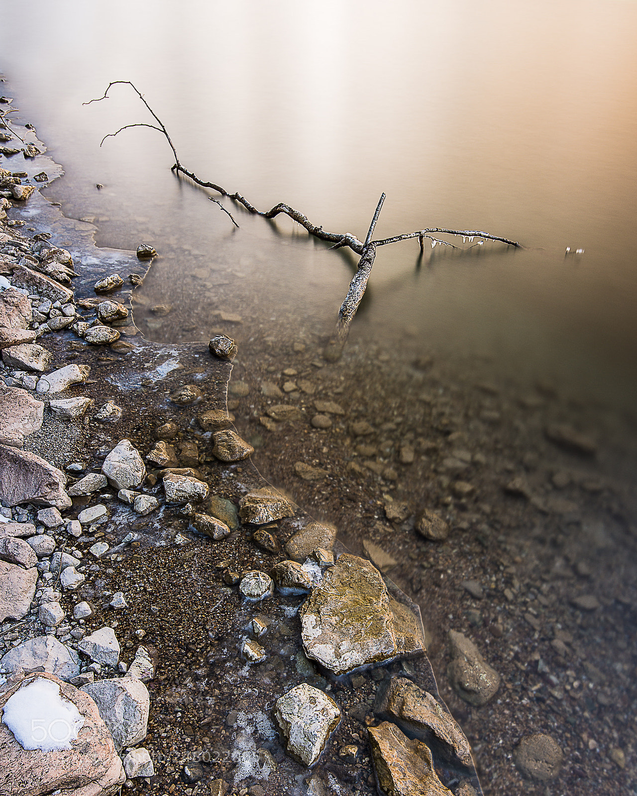Nikon D800 sample photo. Resting branch photography