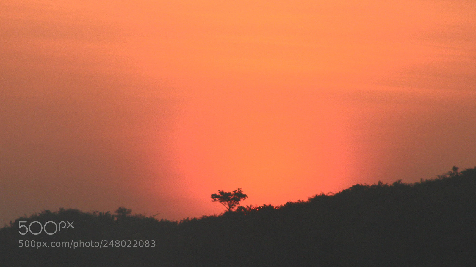 Canon EF 75-300mm f/4-5.6 sample photo. Sunshower photography