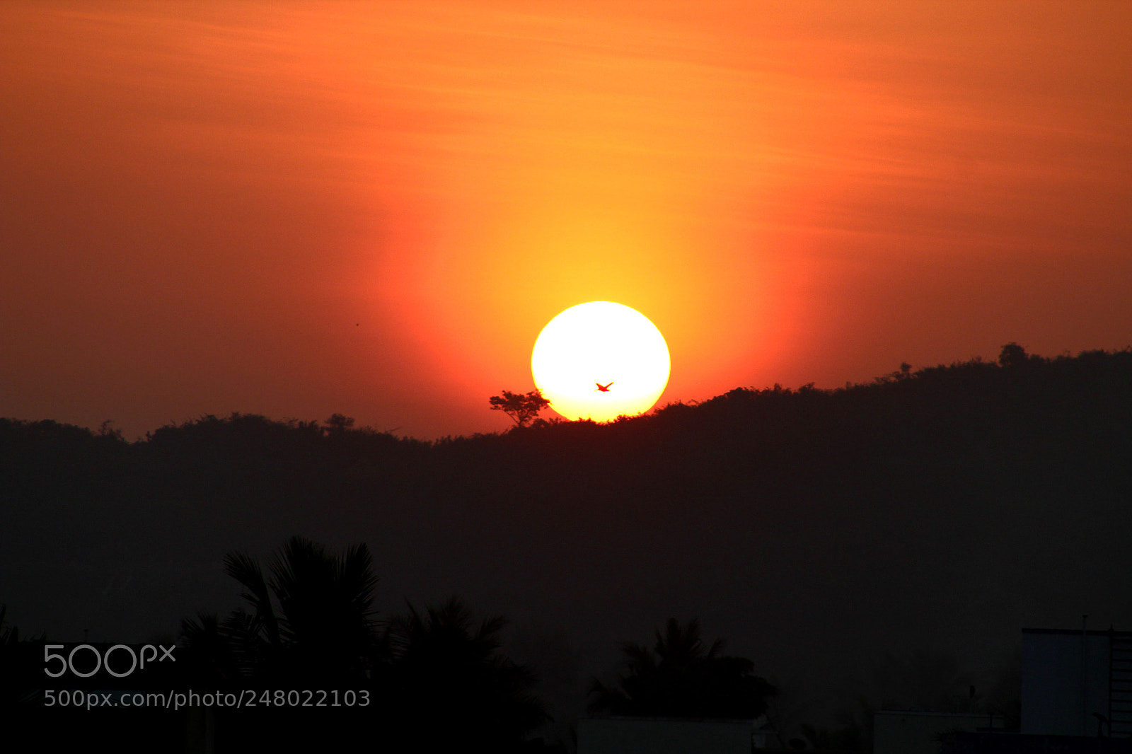 Canon EF 75-300mm f/4-5.6 sample photo. Sunshower photography